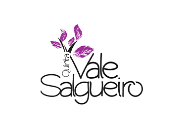 image of Quinta Vale Salgueiro